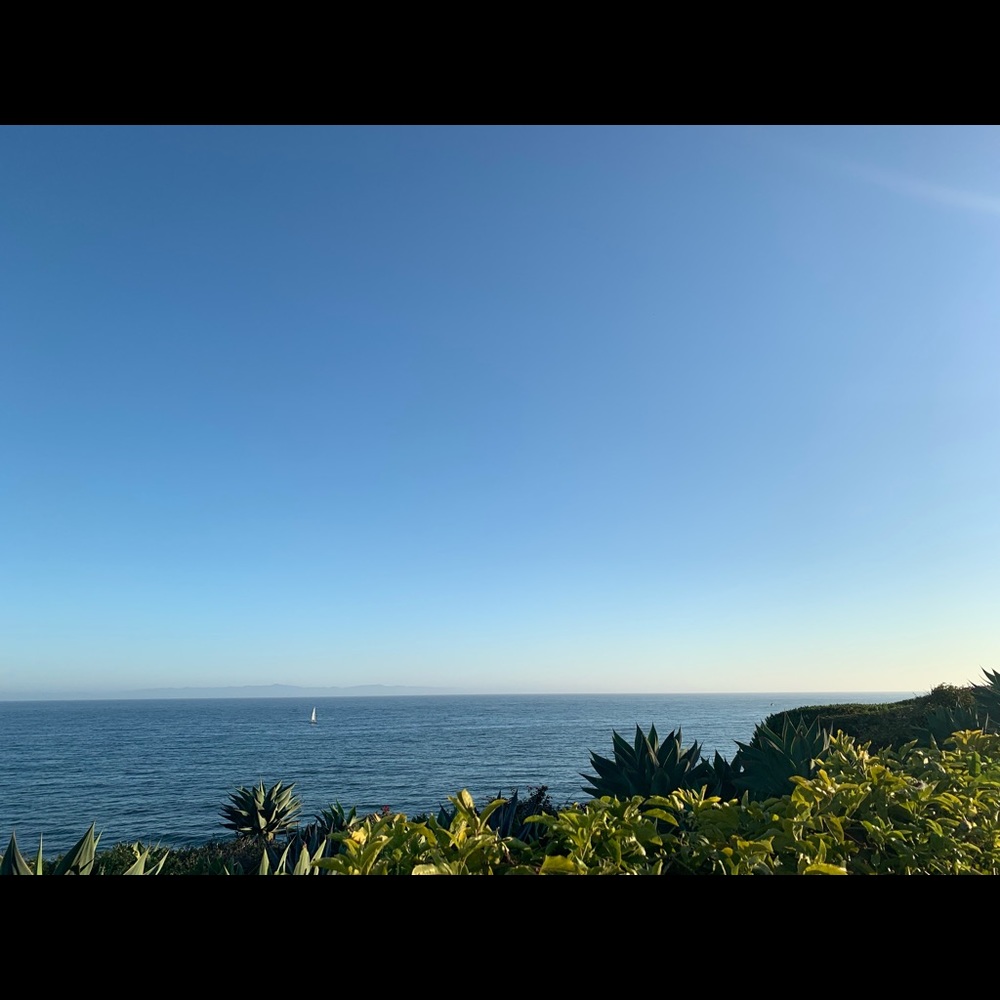 Meet your Posher, Haeni